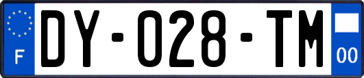 DY-028-TM