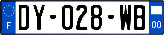 DY-028-WB