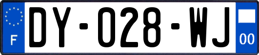 DY-028-WJ