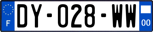 DY-028-WW