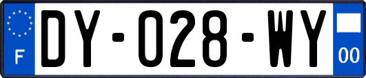 DY-028-WY