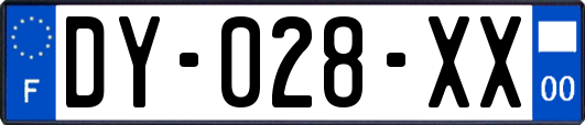 DY-028-XX