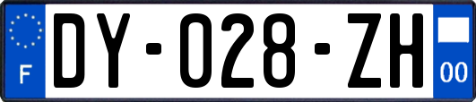 DY-028-ZH