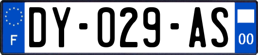 DY-029-AS