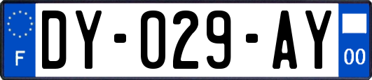 DY-029-AY