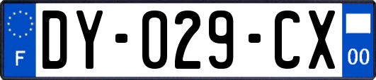 DY-029-CX