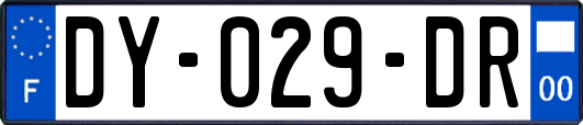 DY-029-DR