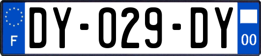 DY-029-DY