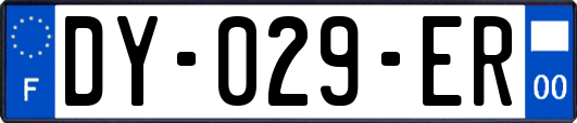 DY-029-ER