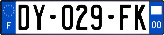 DY-029-FK