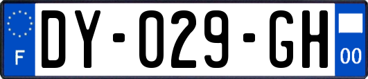 DY-029-GH