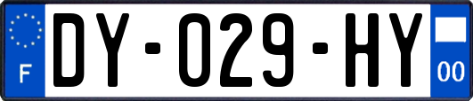 DY-029-HY