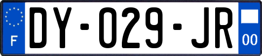 DY-029-JR