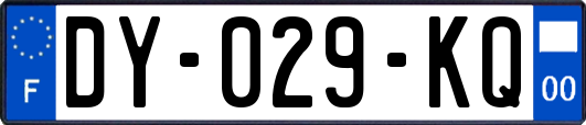 DY-029-KQ