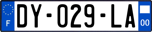 DY-029-LA