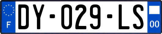 DY-029-LS