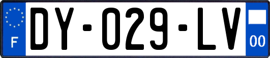 DY-029-LV