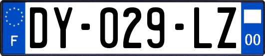 DY-029-LZ