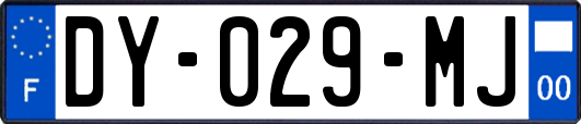 DY-029-MJ