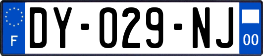 DY-029-NJ