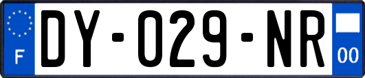 DY-029-NR