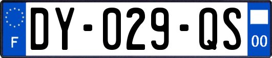 DY-029-QS