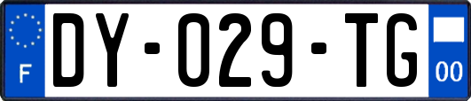 DY-029-TG