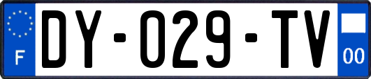 DY-029-TV