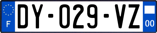 DY-029-VZ