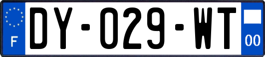 DY-029-WT