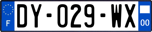 DY-029-WX