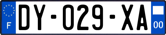 DY-029-XA