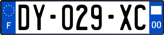 DY-029-XC