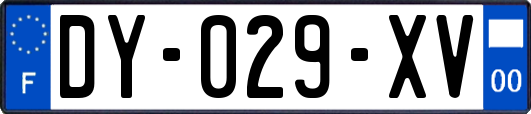 DY-029-XV