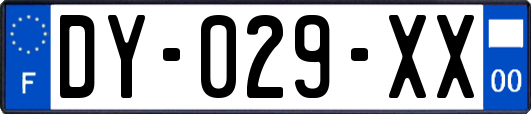 DY-029-XX