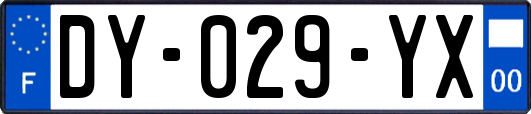 DY-029-YX