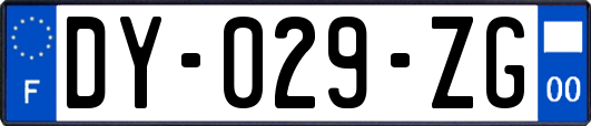 DY-029-ZG