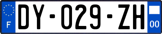 DY-029-ZH