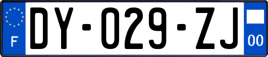 DY-029-ZJ