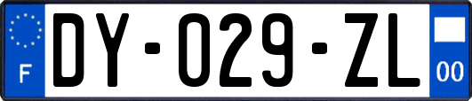 DY-029-ZL