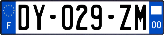 DY-029-ZM