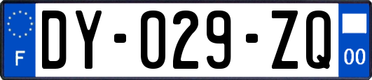 DY-029-ZQ