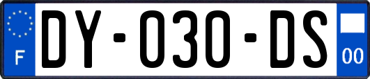 DY-030-DS