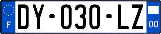 DY-030-LZ