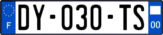 DY-030-TS