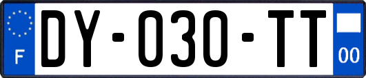 DY-030-TT