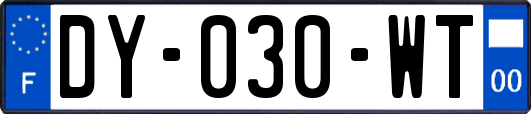 DY-030-WT