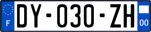 DY-030-ZH