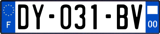 DY-031-BV