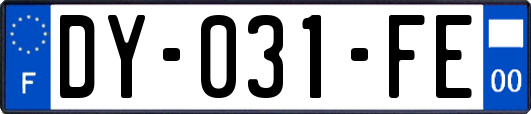 DY-031-FE